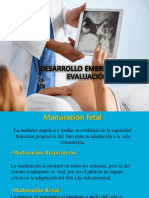 Desarrollo Embriofetal