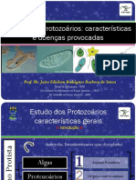 Aula 02 Protozoário - Caracteristicas Gerais e Doenças