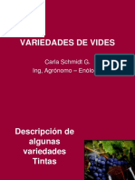 Clase 5 Variedades de Vides