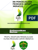 Presentasi Profil Meratus