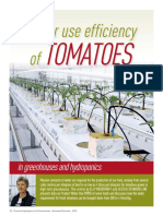 Water Use Efficiency Of: Tomatoes