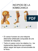 Principios de La Biomecanica