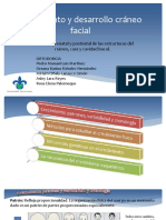 Crecimiento y Desarrollo Cráneo Facial. ORTO DOC. VIRY