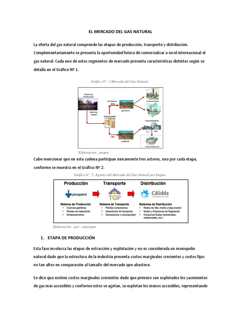 El Mercado Del Gas Natural | PDF | Gas natural licuado | Monopolio