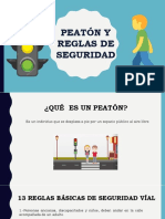 Peaton Y Reglas de Seguridad