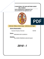 INFORME TECNORIEGO.docx