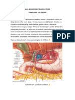 Vías Biliares Extrahepáticas Coledoco