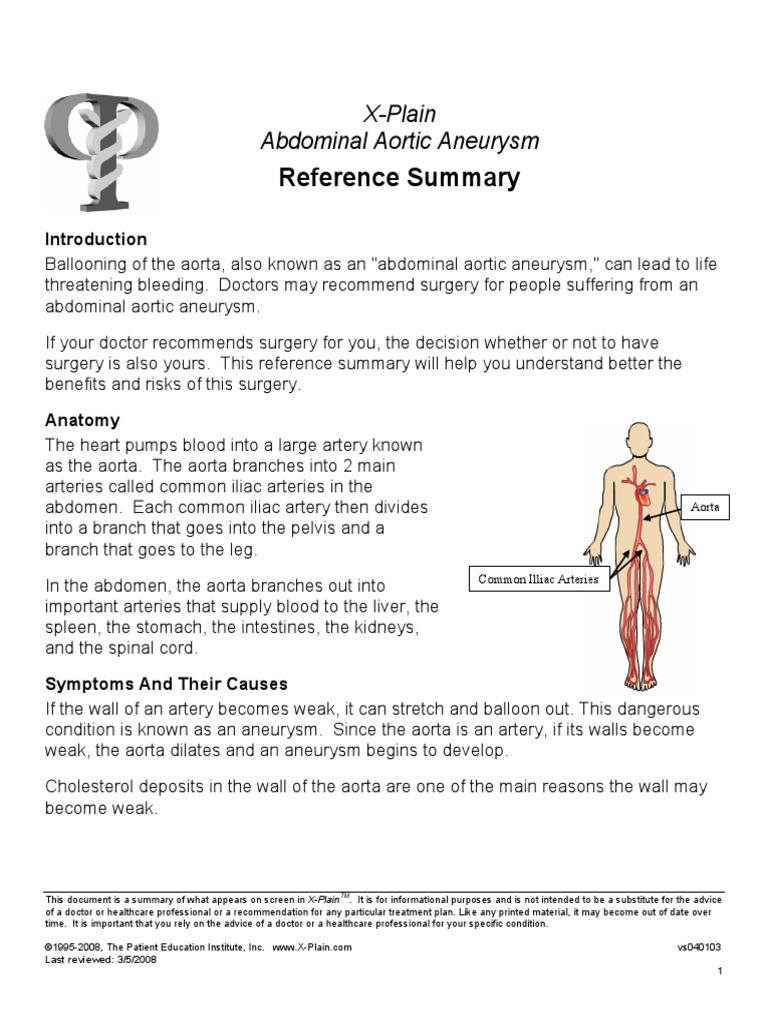 Aorta Branches Into