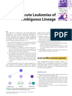 Acute Leukemias of Ambiguous Lineage