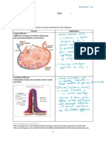 W9 Movement of Substances Across Plasma Membrane in Everyday Life Answer