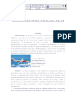 Estructuras principales del avión.pdf