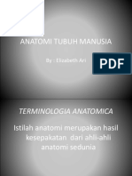 Anatomi Tubuh Manusia