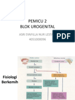 Asri-Pemicu 2 Urogenital