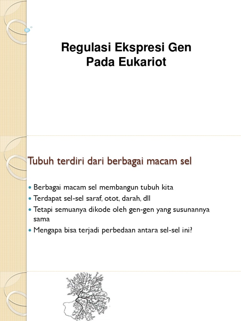 Regulasi Ekspresi Gen Pada Eukariot | PDF