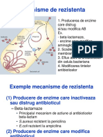 Suport LP Microbiologie