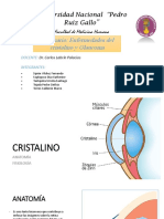 Enfermedades del cristalino y Glaucoma
