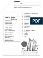 Ensayo SIMCE 2° básico resumen