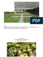 USAID-NEXTT Project Feasibility Report on Processing Jatropha Fruits to Biodiesel