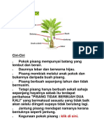 PISANG DAN RAMBUTAN