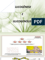  Aula Nutrição Glicogênese e Glicogenólise