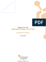 Organizational Culture Report Demo Company Functional