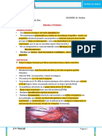 Ginecologia Mioma Uterino.