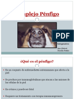 Pénfigo - Inmunología Veterinaria