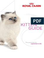 KittenGuide-RCP