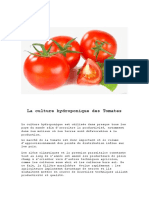 La culture hydroponique de tomates.pdf