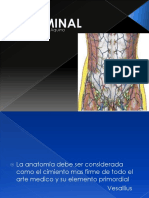 Reconstruccion de Pared Abdominal