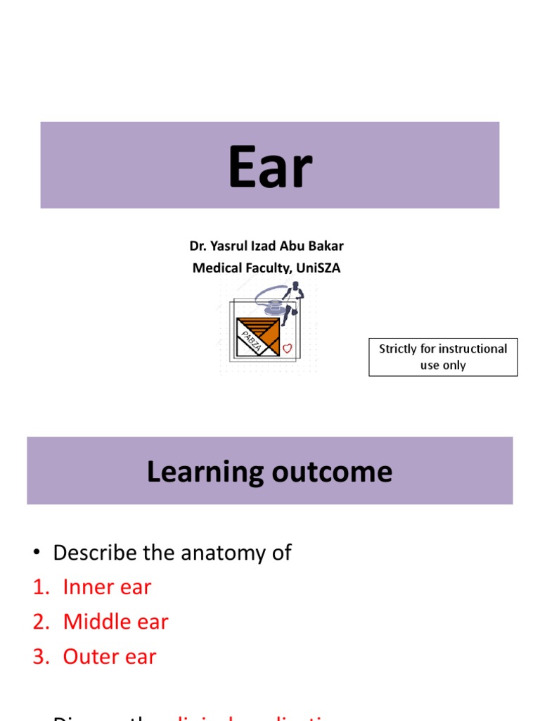 Anatomy and Function of the Ear | PDF | Ear | Auditory System