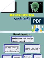 Mastigophora Edit