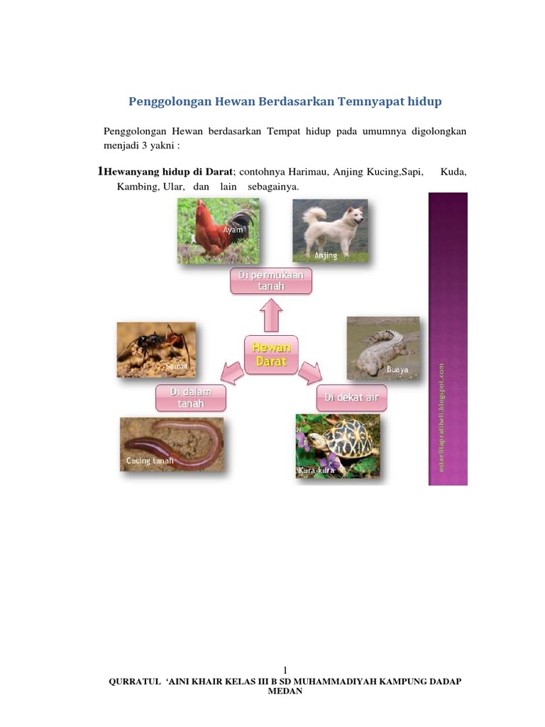 6600 Koleksi Gambar Hewan Berdasarkan Tempat Hidupnya Gratis Terbaik