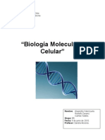 biologia celularrrrrrrrrrrrrrrrrrrrrrrrrrrrrrrrrrrr