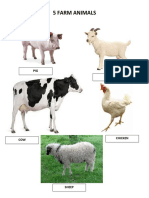 5 Farm Animals
