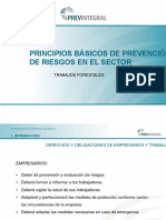 Power Point Model-Trabajos Forestales