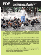 Mango Orchard Based Poultry Farming