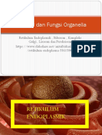 STRUKTUR DAN FUNGSI ORGANELLA