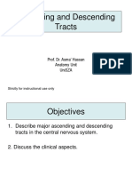 Ascending Descending Tracts