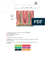 Aencsi6 Qa Absorcao