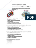 Evaluación final de ciencias naturales sobre células eucariotas y procariotas