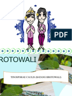 BROTOWALI