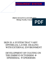 Skin / Integument System: Priyo Susatyo & Sugiharto Biology Faculty, Unsoed