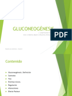 Gluconeogénesis: J. Jorge Huamán Saavedra