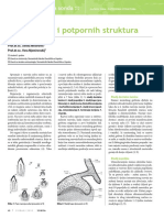 Soldo M. Et Al. Razvoj Zuba I Potpornih Struktura PDF
