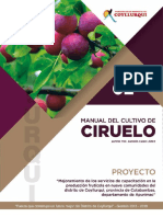 CIRUELO