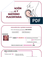 Circulaciòn Fetal y Materno Placentaria