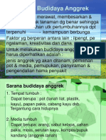 PERTUMBUHAN ANGGREK