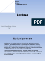 Lordoza 1