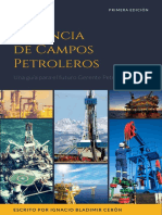 Libro de Gerencia de Campos Petroleros Final1